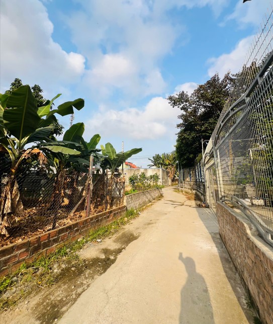 BÁN ĐẤT ĐẸP THIÊN HƯƠNG – THUỶ NGUYÊN – HẢI PHÒNG 15983354