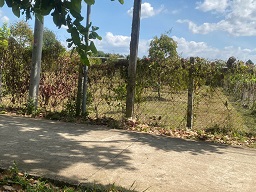 BÁN ĐẤT VƯỜN GẦN TRUNG TÂM – GIÁ CHỈ 1TY6 15983459