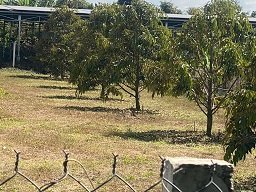 BÁN ĐẤT VƯỜN GẦN TRUNG TÂM – GIÁ CHỈ 1TY6 15983459