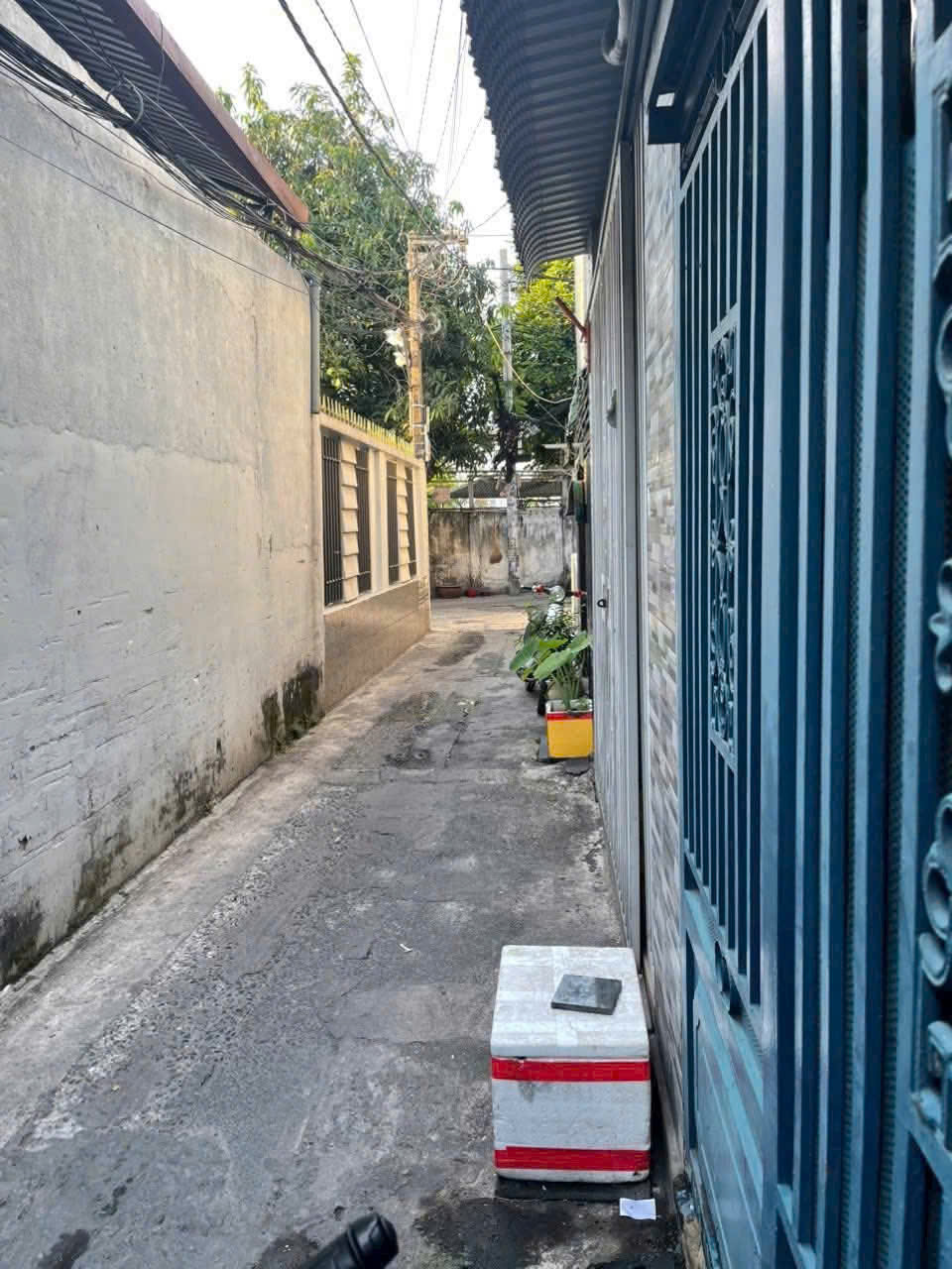 Cho thuê nhà xinh 1 lầu nguyễn thị đặng tân thới hiệp q12 15983462