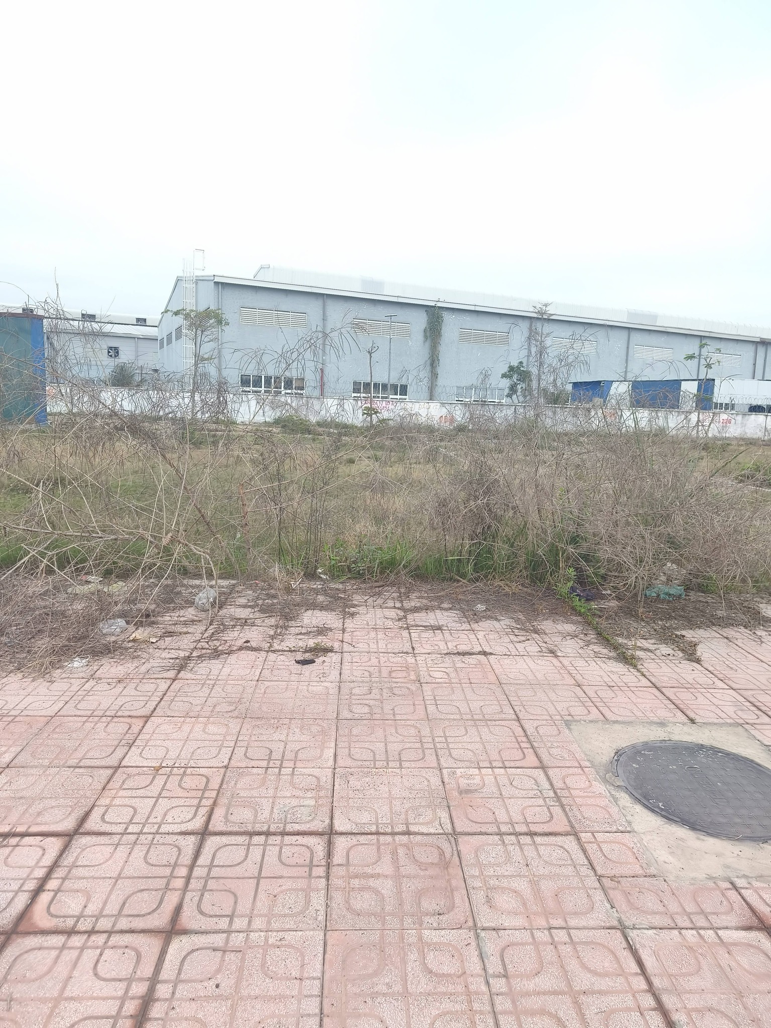 BÁN ĐẤT 117,5m2 MẶT ĐƯỜNG ĐỒNG NẺO – ĐỒ SƠN
 15983557