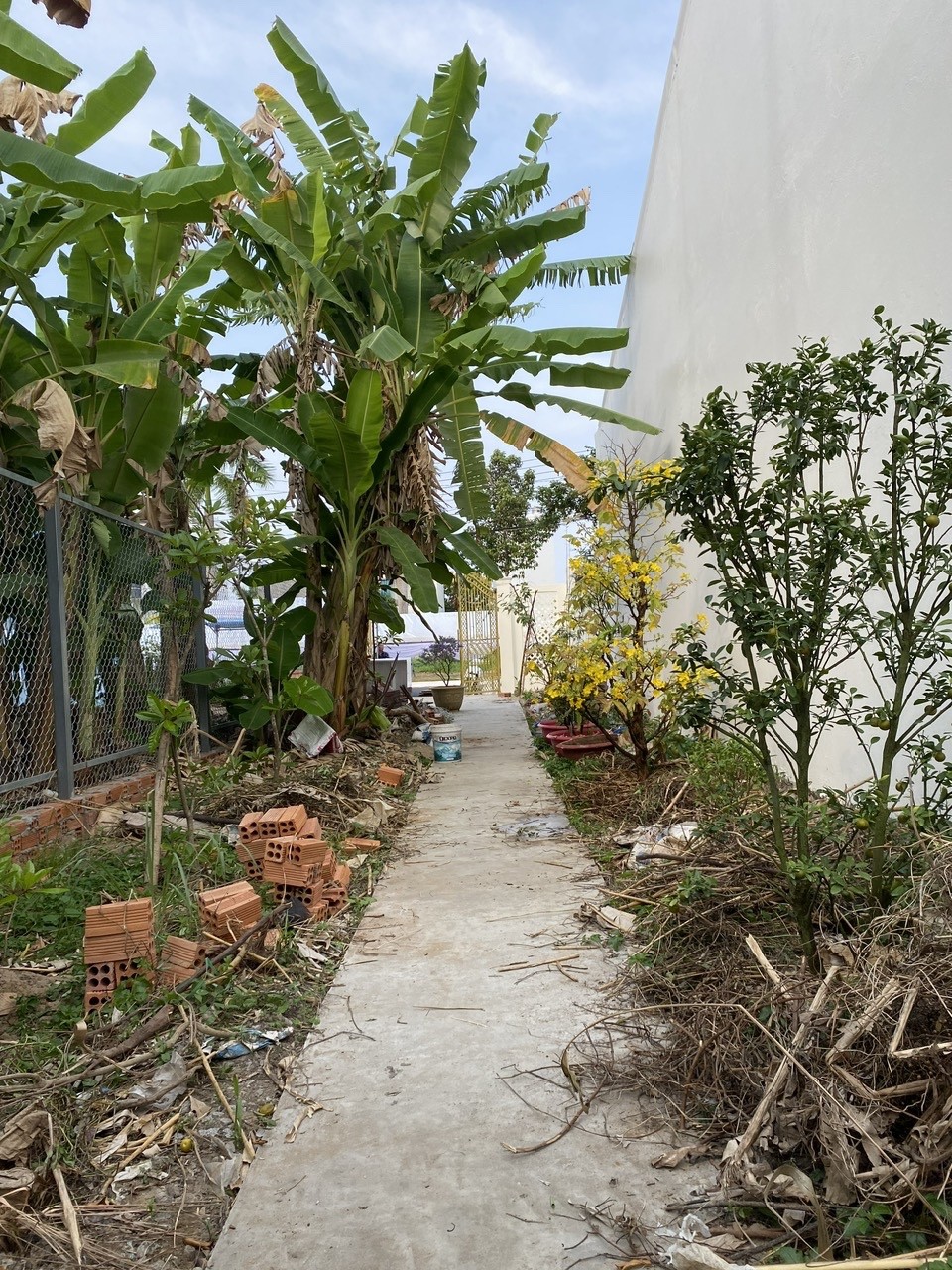 ĐẤT ĐẸP - Bán GẤP Lô Đất Tiềm Năng MẶT TIỀN Đường Châu Văn Liêm, Phường 9, Thành phố Cà Mau 15983638