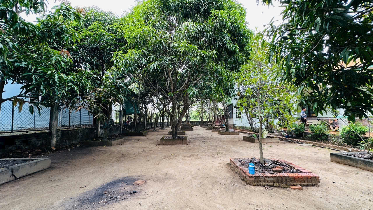 CẦN BÁN 1427M2 NHÀ VƯỜN MT ĐƯỜNG PHAN THỊ KHAI 15983692