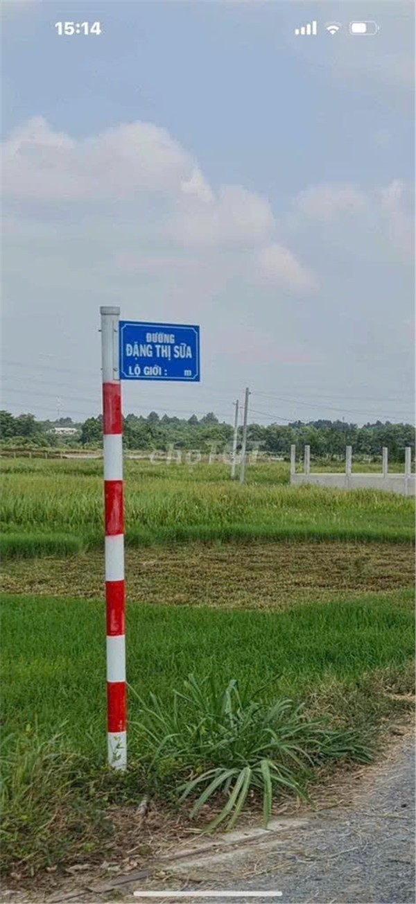 ĐẤT ĐẸP–GIÁ TỐT–CHÍNH CHỦ BÁN GẤP LÔ ĐẤT 2 MẶT TIỀN đường Hồ Thị Búng, Tân Thạnh Tây, Củ Chi, TP.HCM 15983697
