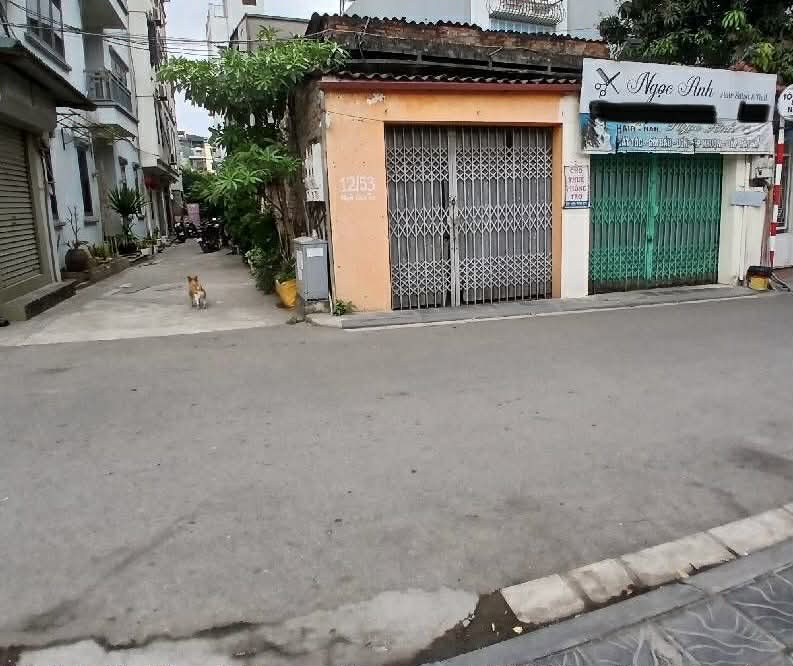 nhà lô góc mặt phố Long Biên, 100m, mặt tiền 7.3m, ôtô 2 chiều 15983713
