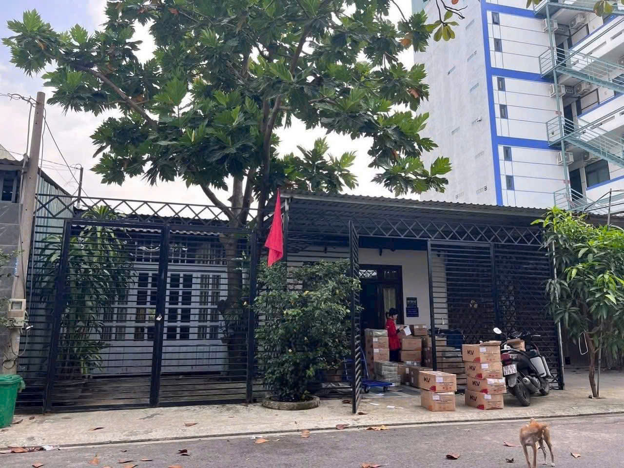 ĐẤT BIỆT THỰ TRẦN THỊ NĂM – NỞ HẬU – TẶNG 2 NHÀ CẤP 4 – CHỈ 12.69 TỶ 15983714