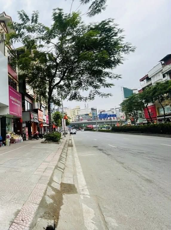 nhà mặt phố Nguyễn Văn Cừ, mặt tiền 13m, nở hậu, dòng tiền ổn định, full thổ cư 15983735