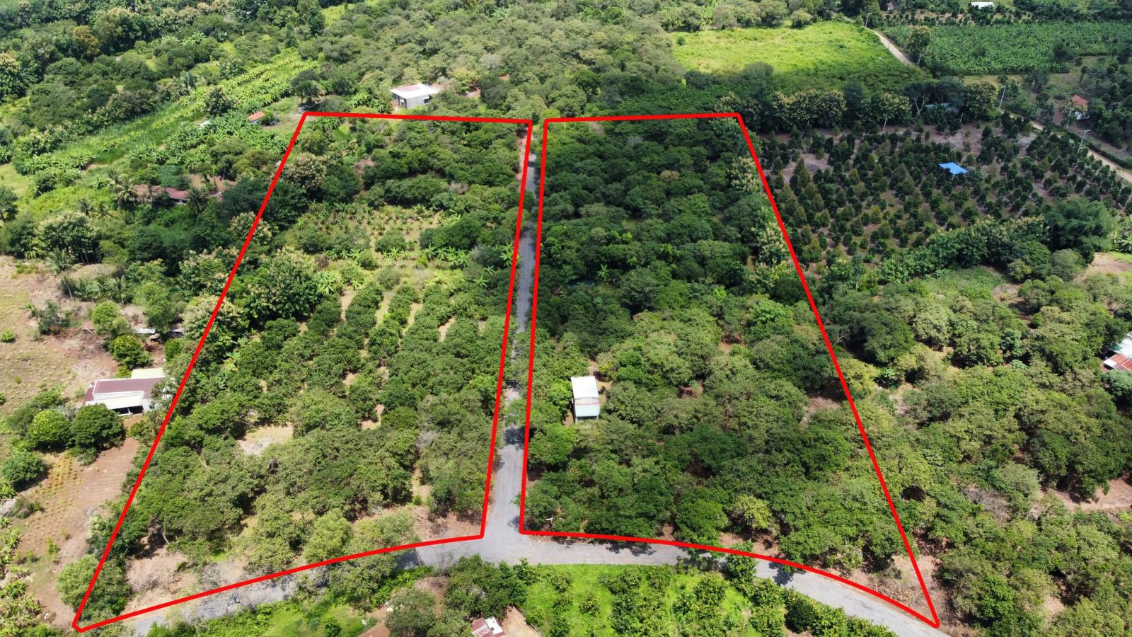 Cần Bán 1 Sào Đất Vườn xã Ngọc Định, Định Quán, Đồng Nai 15983783