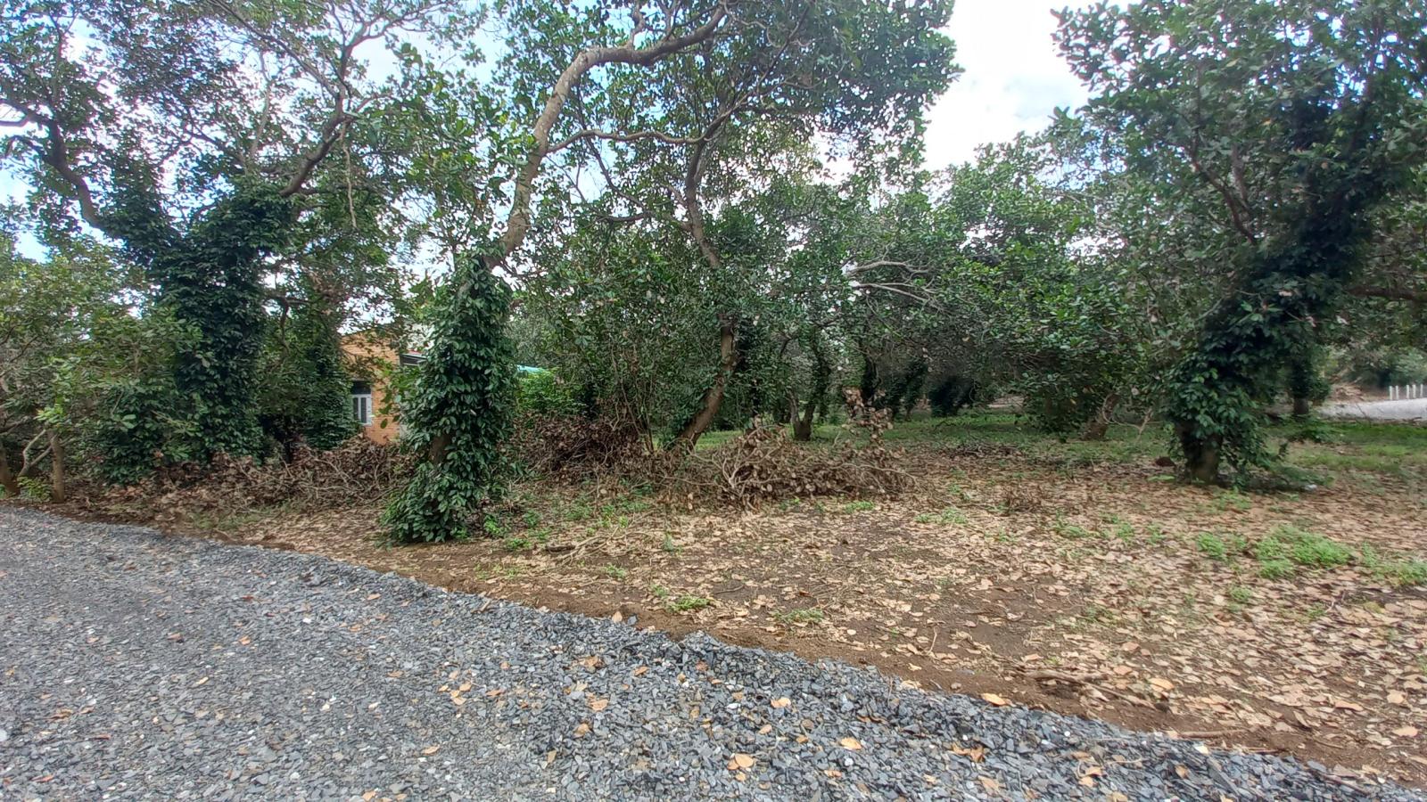 Cần Bán 1 Sào Đất Vườn xã Ngọc Định, Định Quán, Đồng Nai 15983783