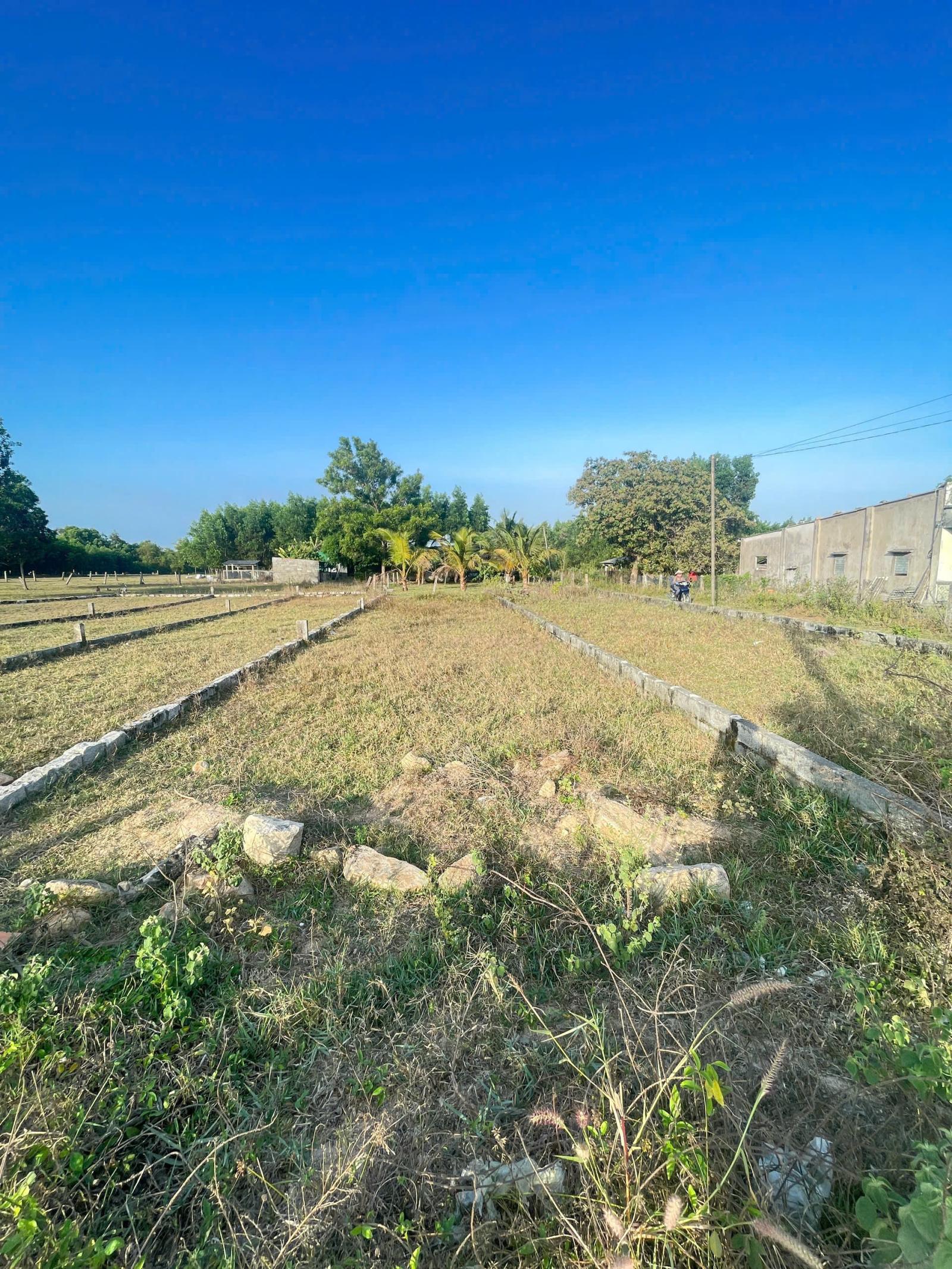 Bán 6m x 28m đất ODT Hẻm Cù Chính Lan - Tân Bình - LaGi giá mềm 900 triệu 15984007