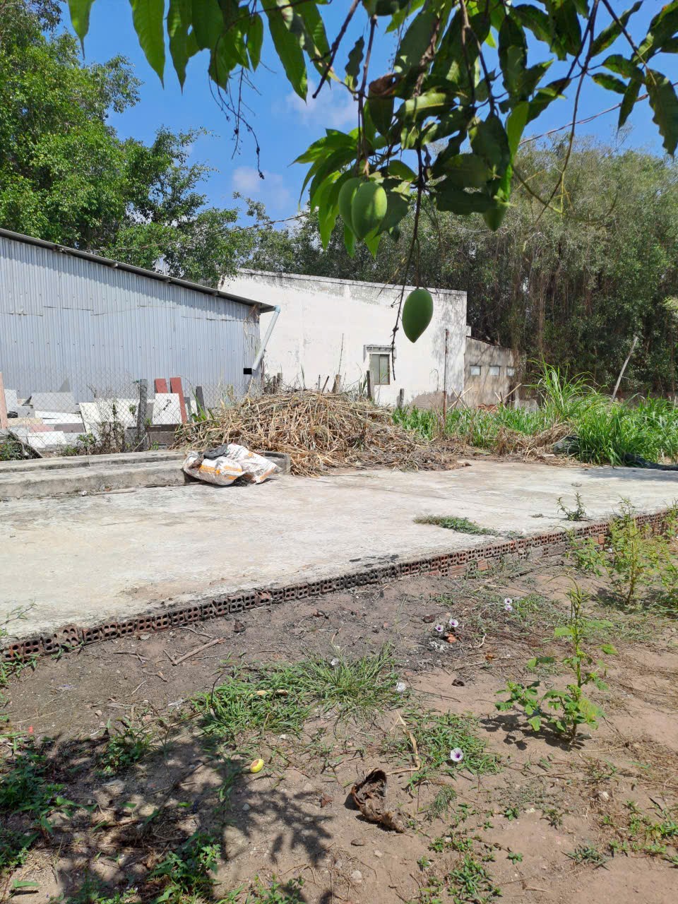 ĐẦU TƯ SINH LỜI -  Chính Chủ Bán Lô Đất MẶT TIỀN Đường QL 57 Xã Đại Điền, Thạnh Phú, Bến Tre 15984042