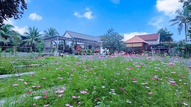 CHO THUÊ HƠN 2100M2 FARM TẠI DIÊN LẠC, DIÊN KHÁNH, KHÁNH HÒA. 15984094