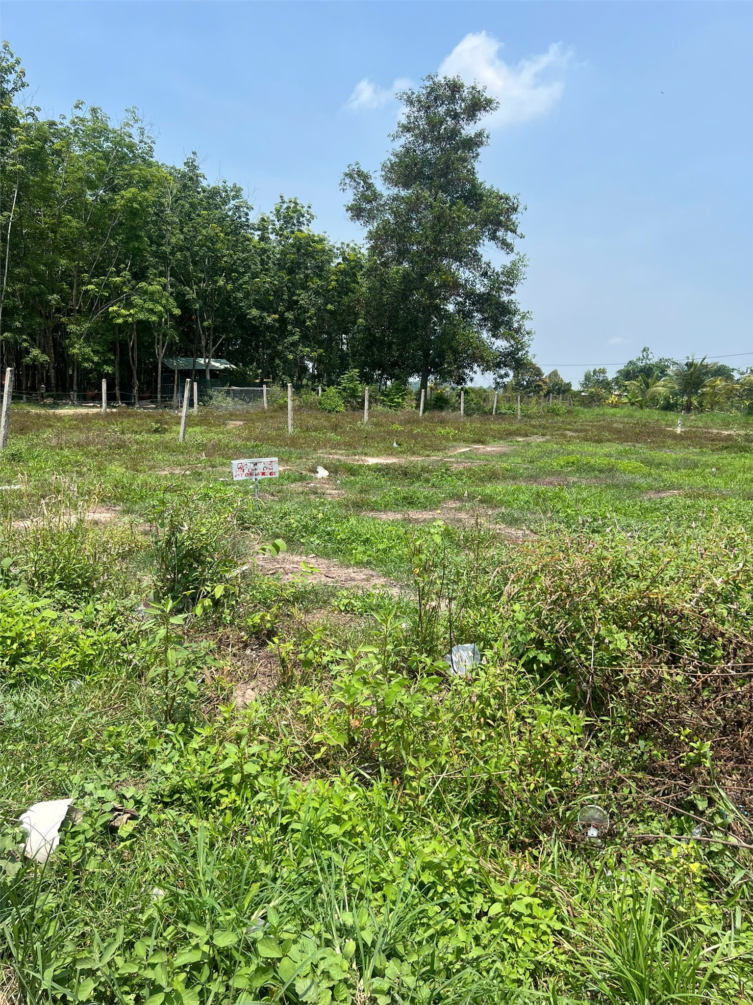 ĐẤT ĐẸP – GIÁ TỐT  – CHÍNH CHỦ CẦN BÁN GẤP tại  Xã Long Thuận, Huyện Bến Cầu, Tây Ninh 15984157
