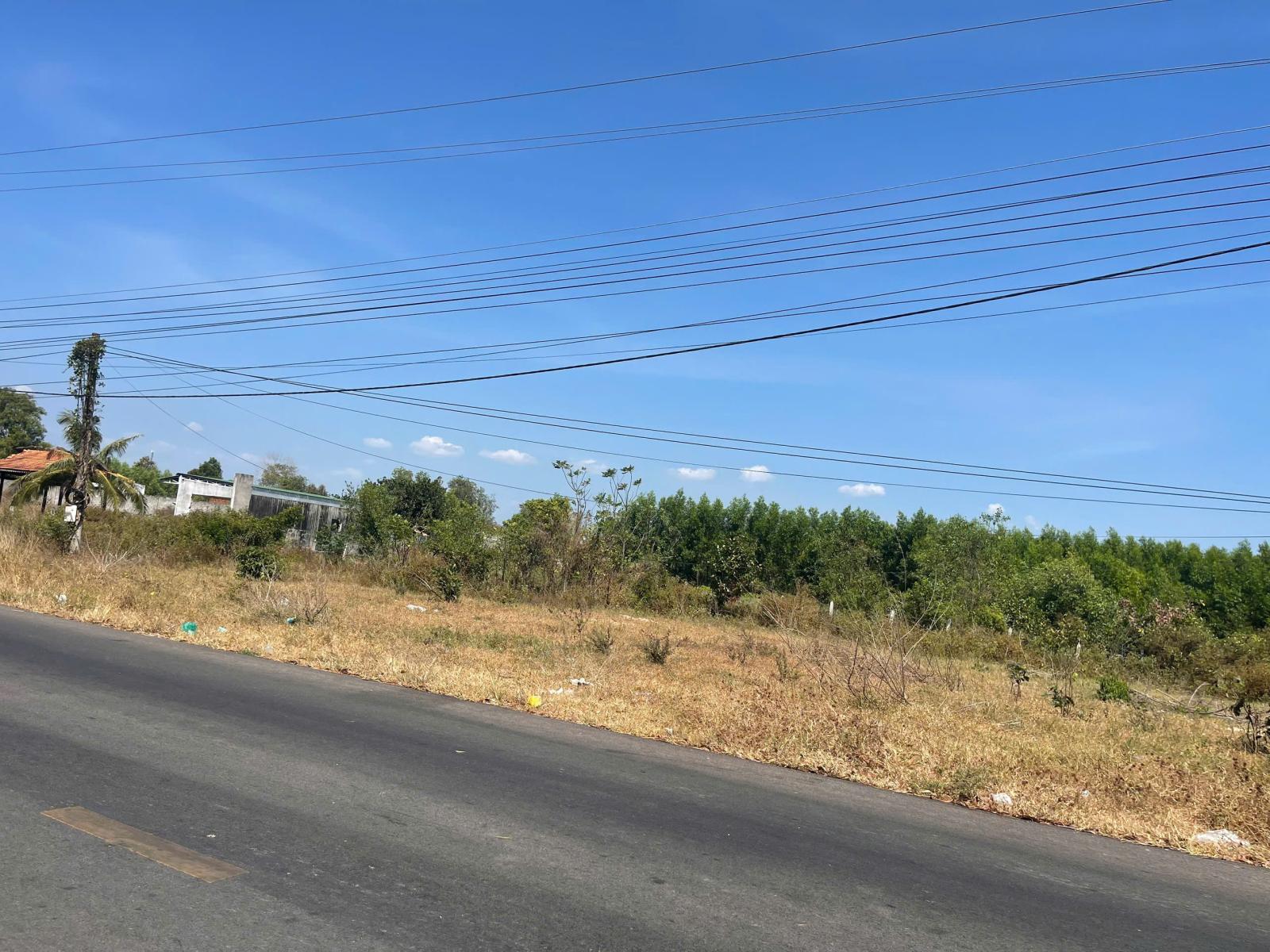 Bán 2246m2 đất thổ cư Lê Minh Công, Tân Phước, LaGi view biển giá đầu tư 15984282