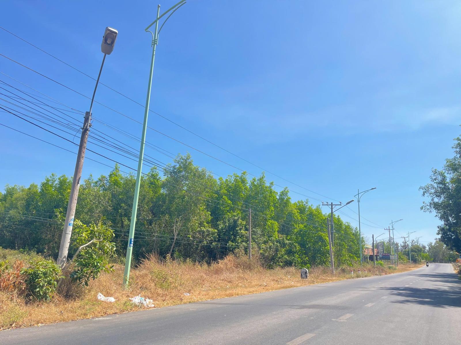 Bán 2246m2 đất thổ cư Lê Minh Công, Tân Phước, LaGi view biển giá đầu tư 15984282