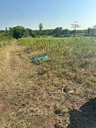 ► Dt: 9 xào 9 giá công khai 3,5 tỷ 15984387