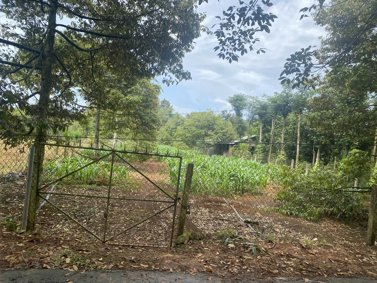 ĐẤT CHÍNH CHỦ - GIÁ TỐT Địa Chỉ Xã Xà Bang, Huyện Châu Đức, Tỉnh Bà Rịa Vũng Tàu 15984392