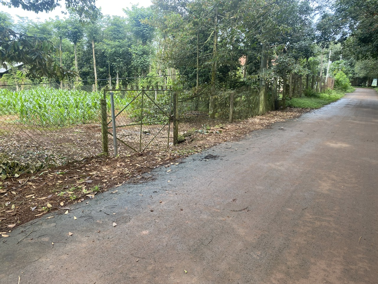 ĐẤT CHÍNH CHỦ - GIÁ TỐT Địa Chỉ Xã Xà Bang, Huyện Châu Đức, Tỉnh Bà Rịa Vũng Tàu 15984392