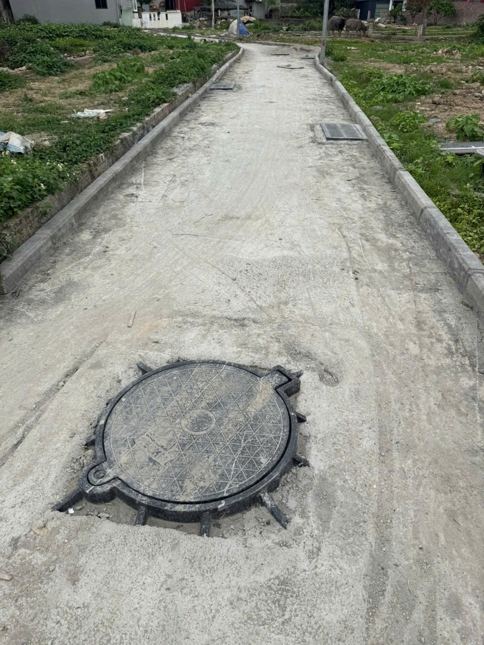 69m đất thôn Ấp Quan - tổ 9, Quang Minh, Mê Linh, đường rộng, oto đỗ mà giá chưa đến 2 tỷ 15984450