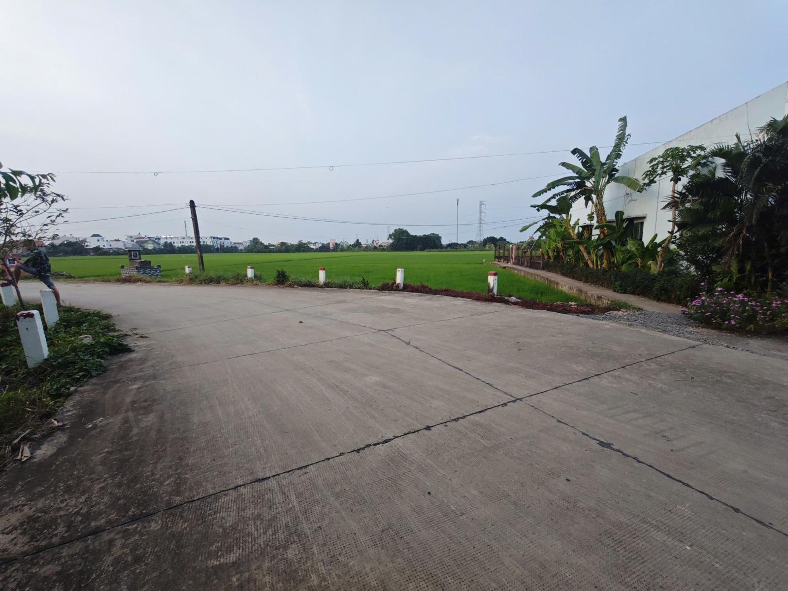 Bán lô đất lúa chuyển thổ đường bê tông 6m giá 1,55 tỷ 15984453