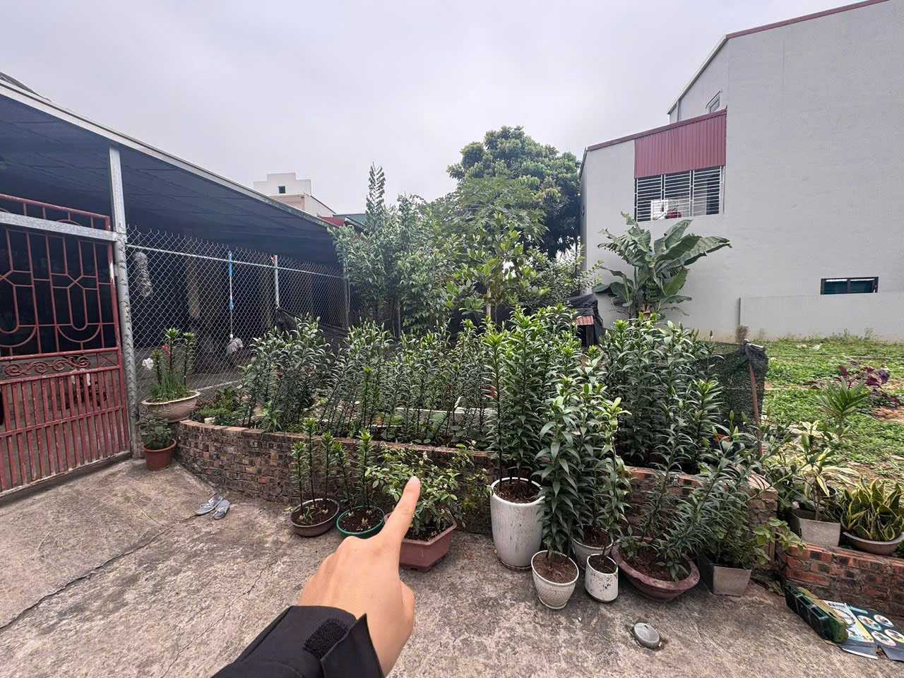 CẦN B.ÁN GẤP 75M SIÊU RẺ Ô TÔ ĐỖ CỬA TẠI THỌ AN _ LIÊN MINH _ HÀ NỘI. 15984460