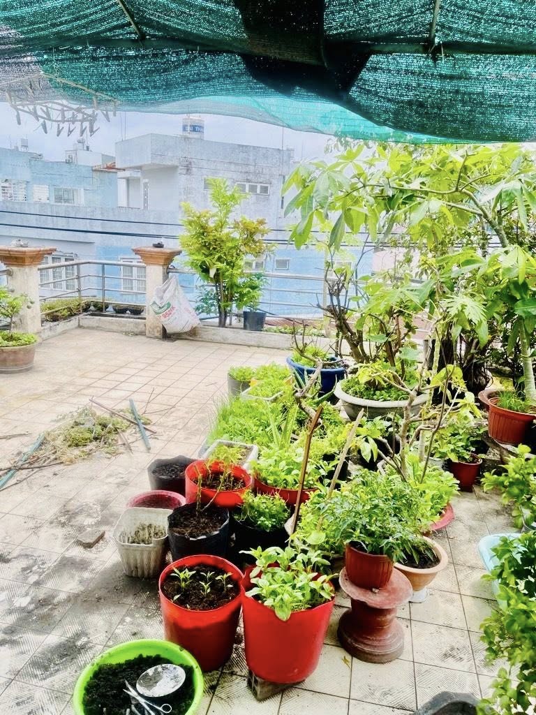 MẶT TIỀN KINH DOANH NGAY AEON TÂN PHÚ - 100M2 - NGANG GẦN 8M - 3 TẦNG - CHỈ 7 TỶ TL 15984465