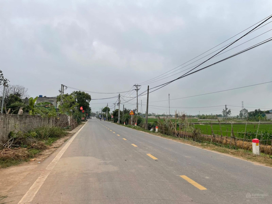 BÁN ĐẤT MẶT ĐƯỜNG TRỤC XÃ QUỲNH MỸ (NAY THUỘC QUỲNH PHỤ) VỊ TRÍ KINH DOANH TỐT 15984476