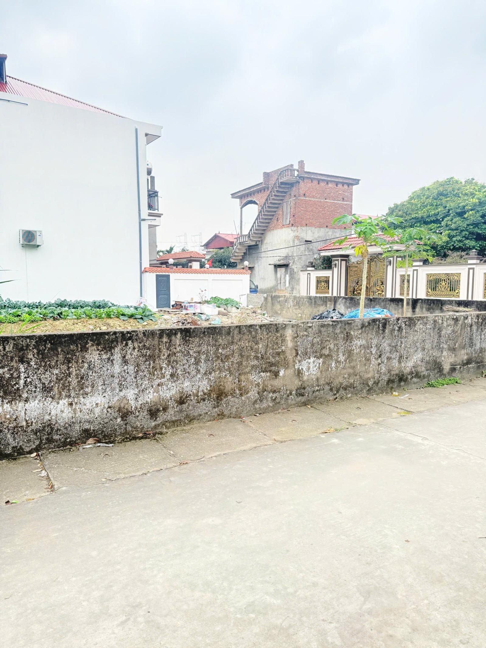 Lô đất 130 m2 - MT 5m. Full Thổ cư, đường xe công ten nơ.  Tại Yên Dũng, Bắc Giang .Giá 1.48 tỷ 15984482