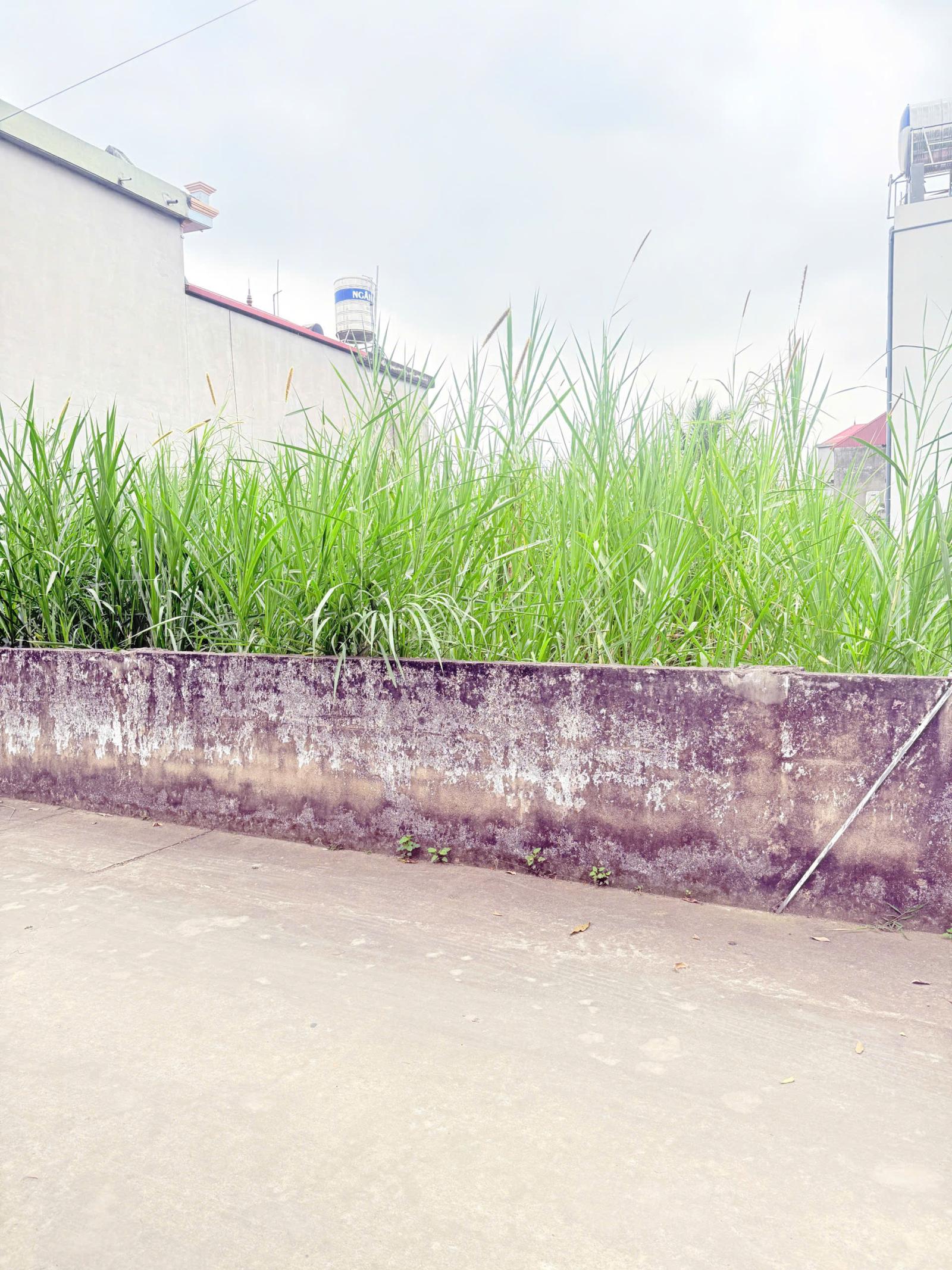 Lô đất 130 m2 - MT 5m. Full Thổ cư, đường xe công ten nơ.  Tại Yên Dũng, Bắc Giang .Giá 1.48 tỷ 15984482