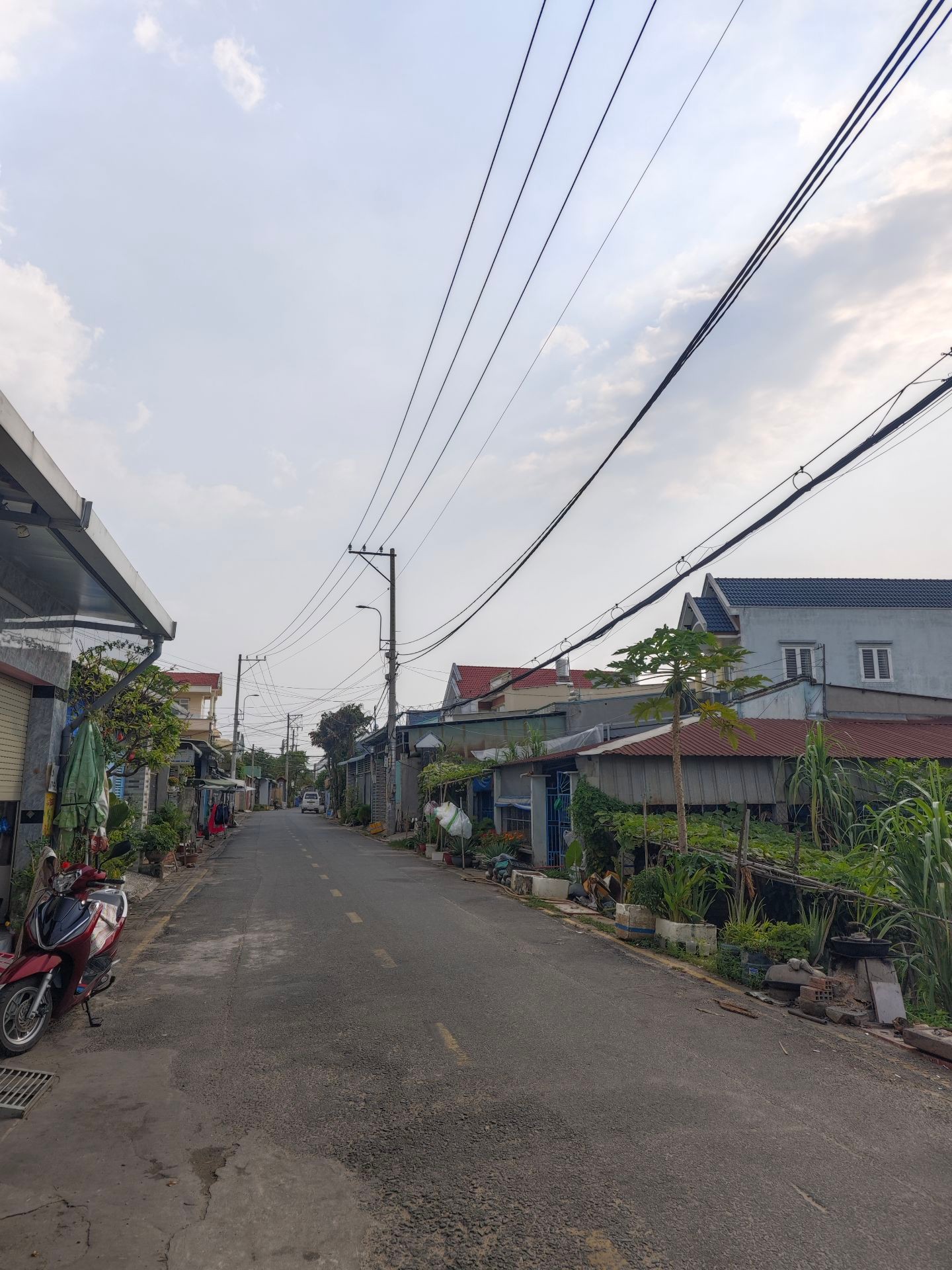 Bán Đất Trung Đông 8, Đông Thạnh, Hóc Môn 2950m2 - Đầu tư  Chỉ 44 TỷTL 15984501