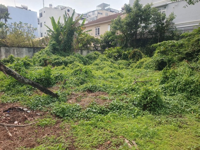 Cần Bán Gấp 2.496m2 Đất HXT Nguyễn Thị Sáu Thới Tam Thôn Hóc Môn- Chỉ 50 Tỷ 15984507