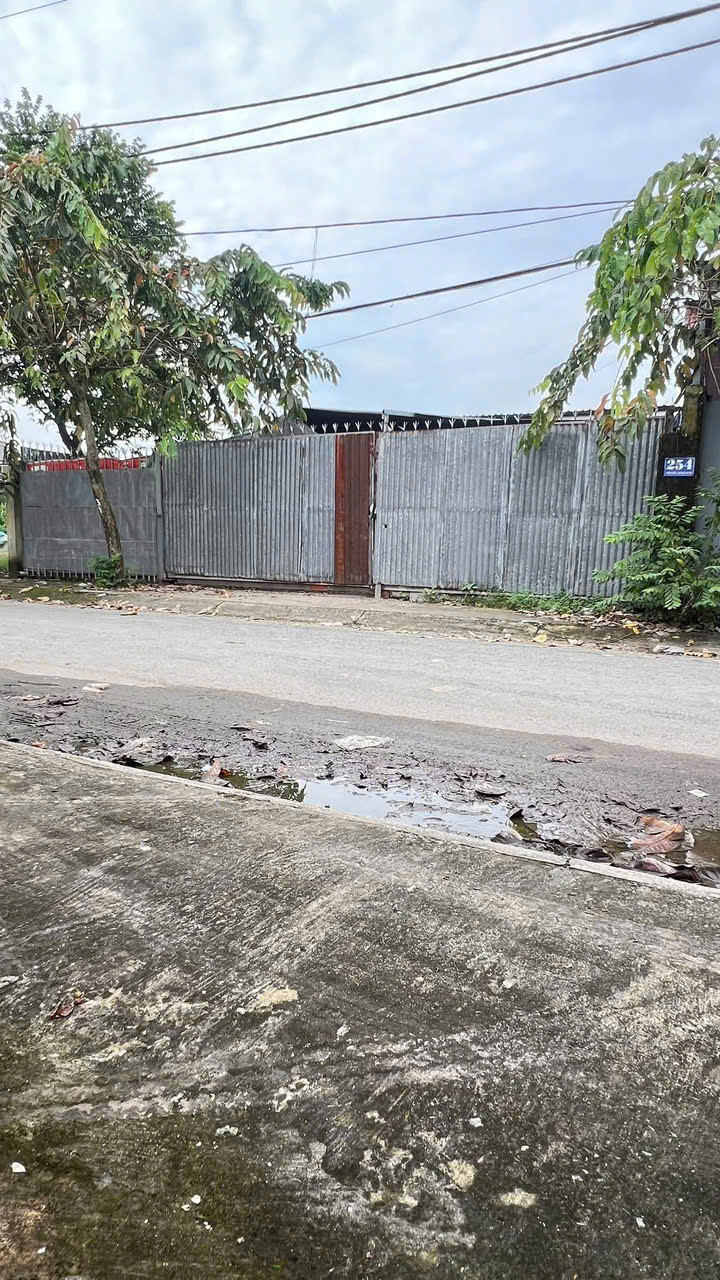 BÁN GẤP ĐẤT GÓC 2 MẶT TIỀN NGUYỄN THỊ MƯỜI (ĐT5 CŨ) – ĐÔNG THẠNH 15984714