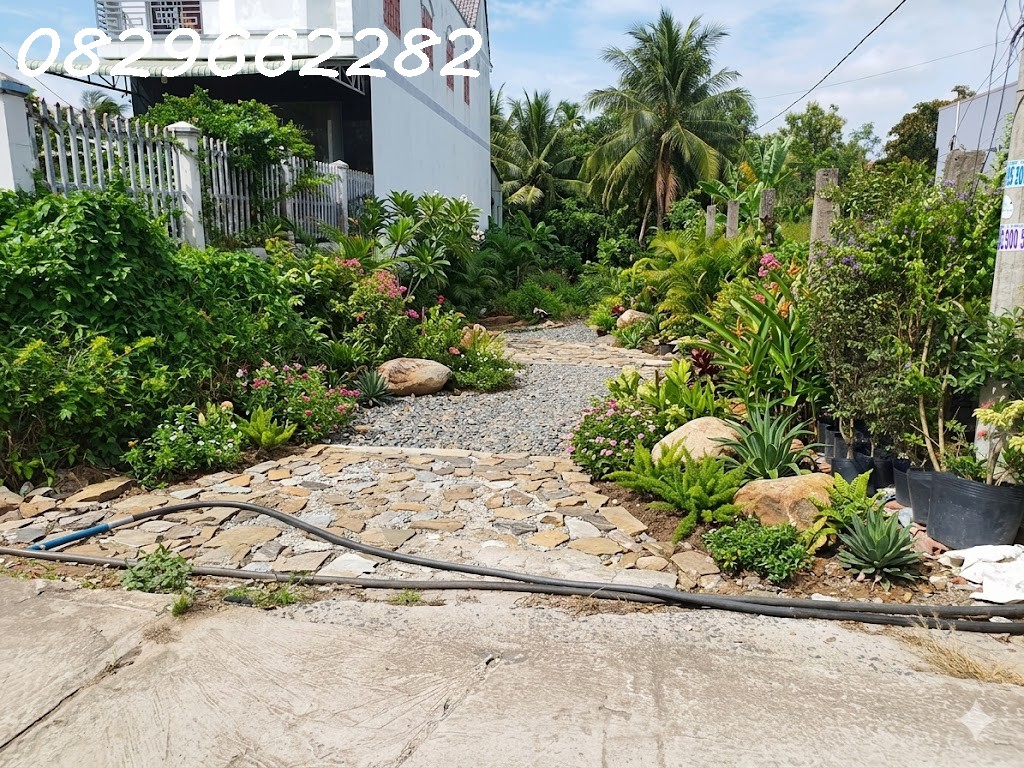 Bán Đất Thổ Cư Sổ Hồng 305m2 Đường Phạm Hồng Thái, TP. Sa Đéc, Đồng Tháp. Giá 2 Tỷ. 15984831