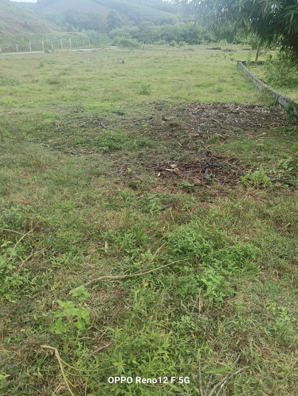 ĐẤT ĐẸP– GIÁ TỐT  – CHÍNH CHỦ CẦN BÁN NHANH Đất Tại Xã Khánh Đông, Khánh Vĩnh, Khánh Hòa 15984973