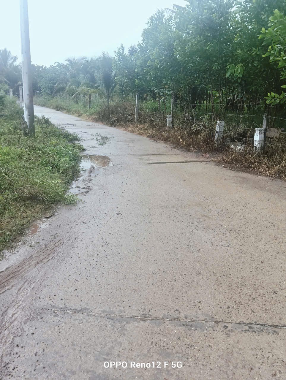 ĐẤT ĐẸP– GIÁ TỐT  – CHÍNH CHỦ CẦN BÁN NHANH Đất Tại Xã Khánh Đông, Khánh Vĩnh, Khánh Hòa 15984973