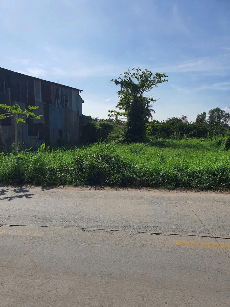 ĐẤT THẠNH XUÂN 52 – 795M² FULL THỔ CƯ – HẬU 18,6M – CHỈ 26 TỶ 15984986