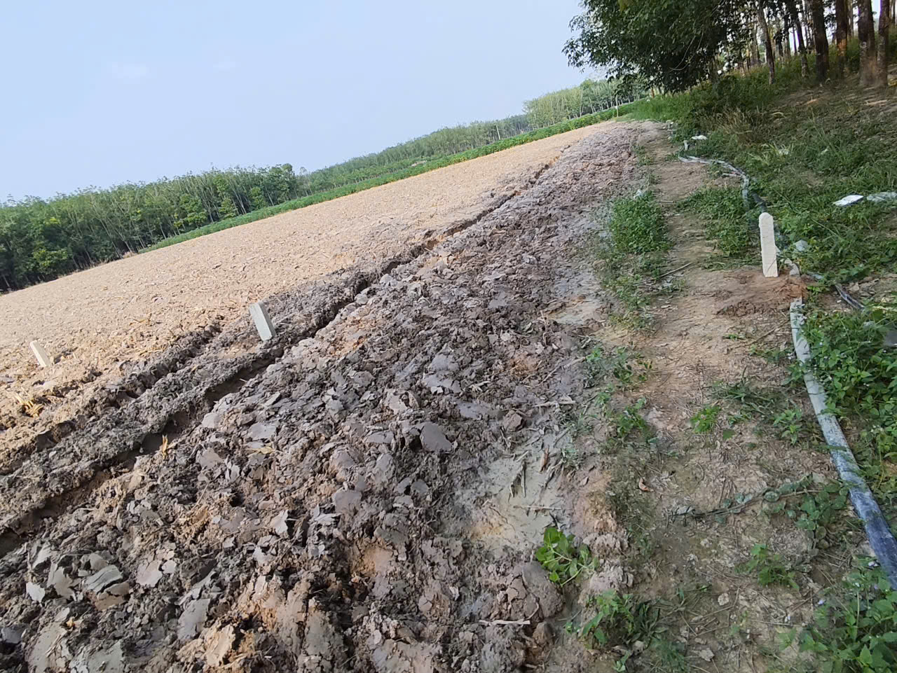 Đất nền chợ An Cơ 310 Triệu 200m2 Full thổ cư 15984996