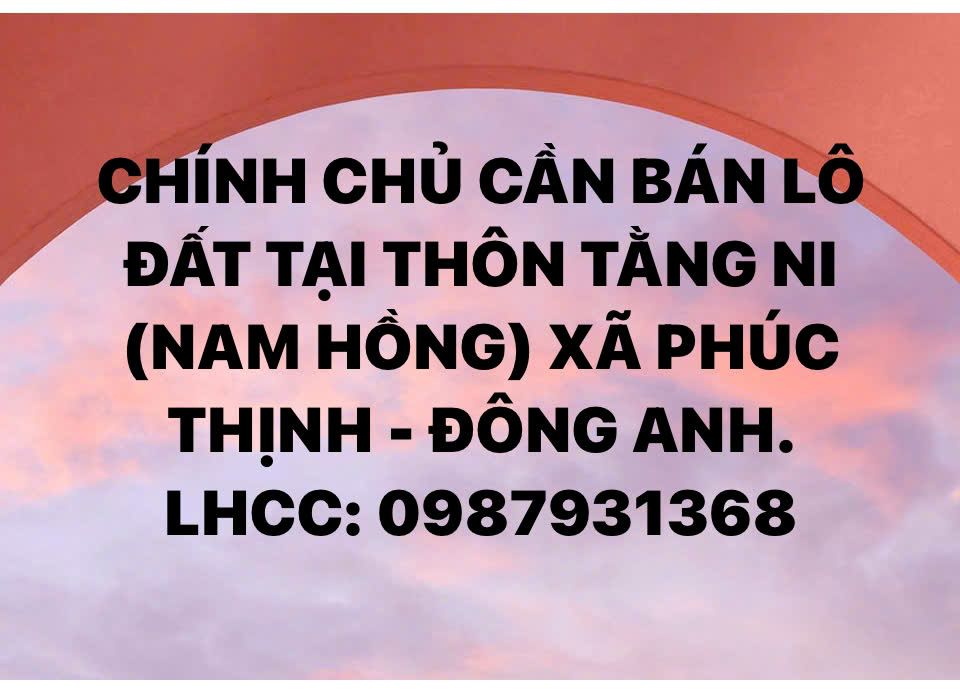 CẦN BÁN LÔ ĐẤT TẠI THÔN TẰNG NI (NAM HỒNG) XÃ PHÚC THỊNH, ĐÔNG ANH, HÀ NỘI 15985000
