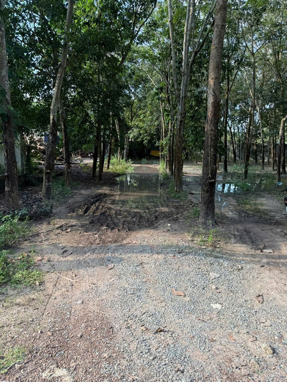 ĐẤT ĐẸP – GIÁ TỐT – CHÍNH CHỦ CẦN BÁN LÔ ĐẤT tại P.Minh Hưng, TX.Chơn Thành, tỉnh Bình Phước 15985003