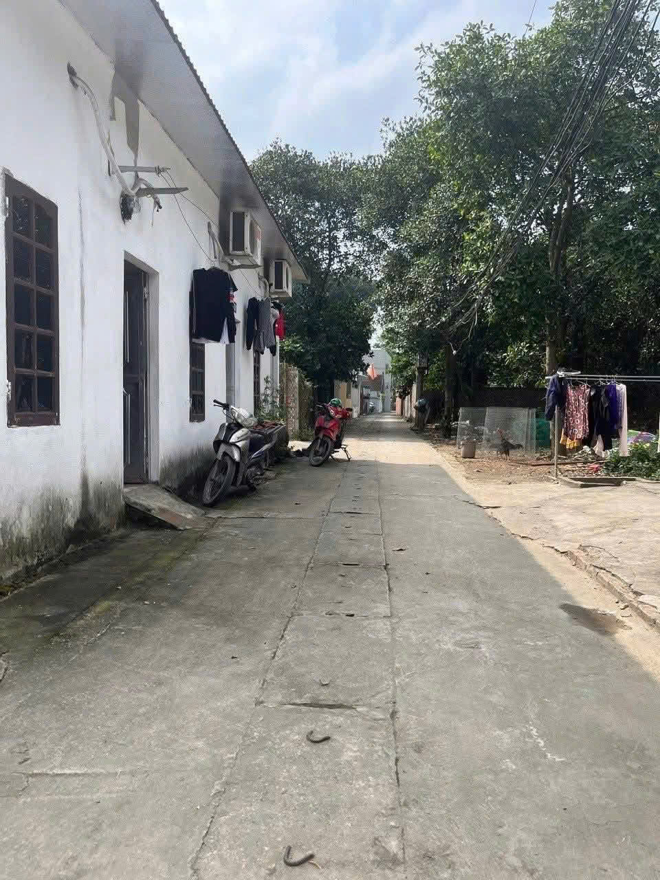 BÁN ĐẤT – XÓM BÃI, UY NỖ, ĐÔNG ANH ĐƯƠNG THÔNG CHỈ HƠN 3 TỈ XÍU 15985089