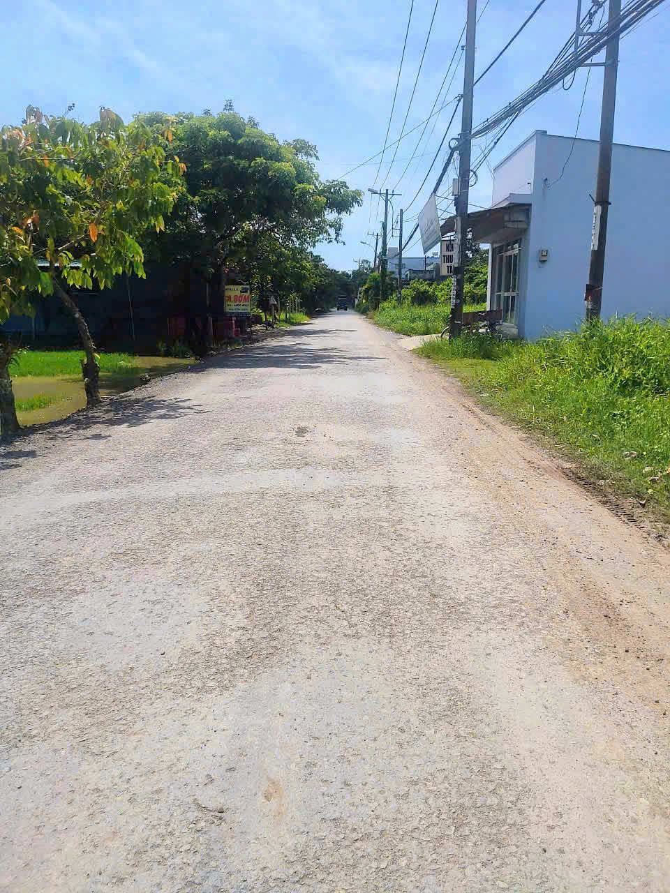 CẦN BÁN 5600M2 ĐẤT VƯỜN MT ĐƯỜNG BÔNG VĂN DĨA 15985091