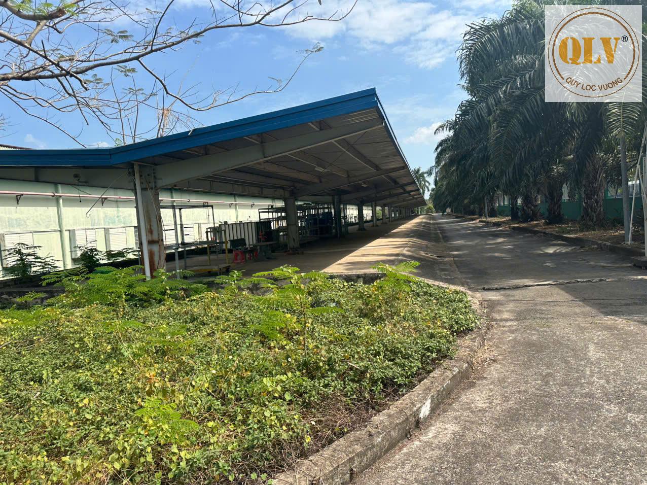 BÁN NHÀ XƯỞNG – KCN MỸ XUÂN, BR-VT – 21.439m² 15985459