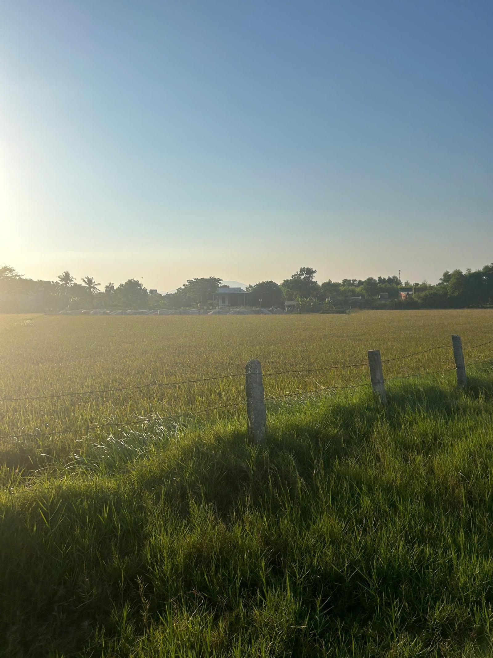 Bán 2.7 sào đất QH ODT Hẻm Tôn Đức Thắng, Tân Thiện, LaGi chỉ 1 tỷ 15985551