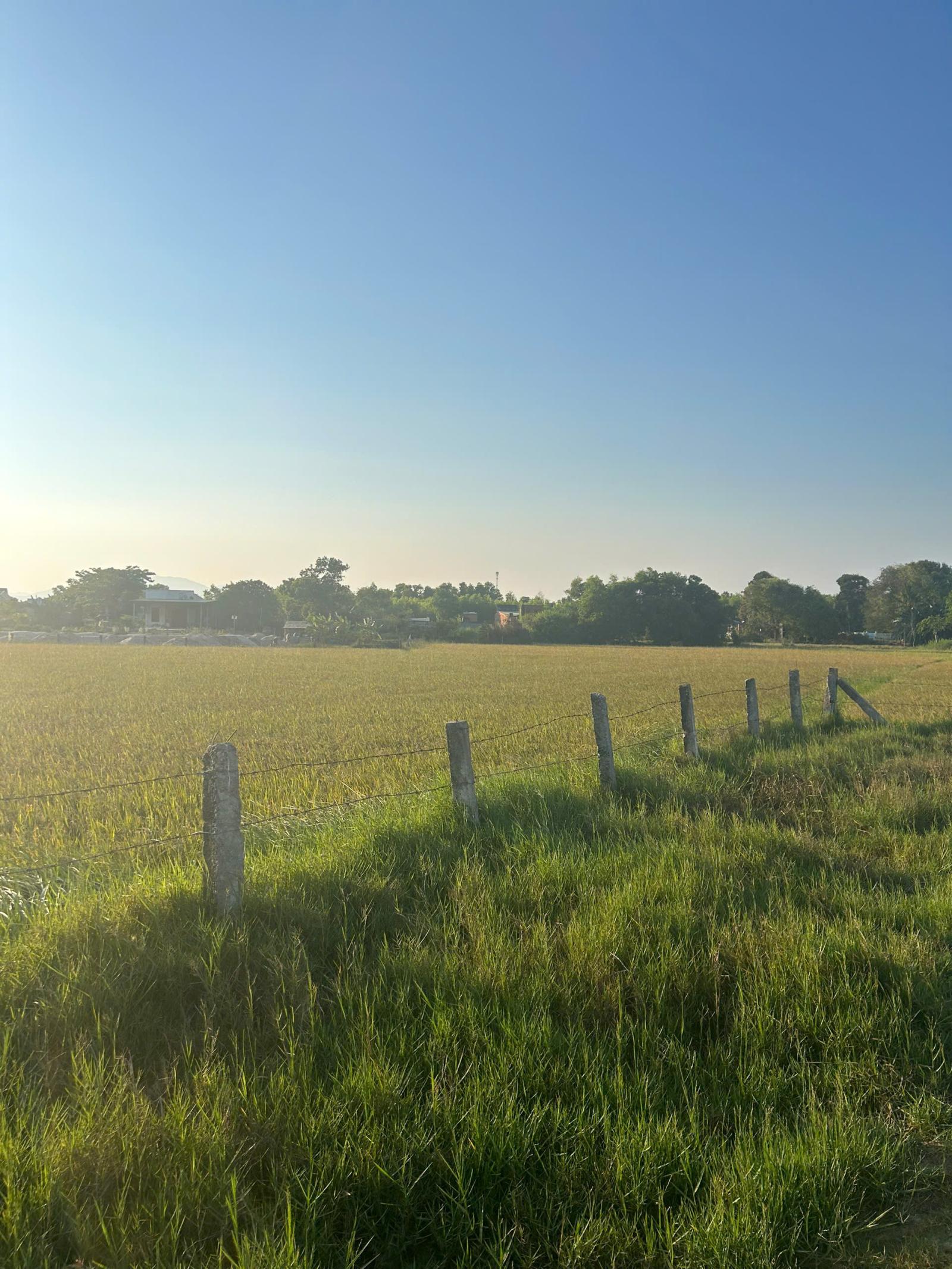 Bán 2.7 sào đất QH ODT Hẻm Tôn Đức Thắng, Tân Thiện, LaGi chỉ 1 tỷ 15985551