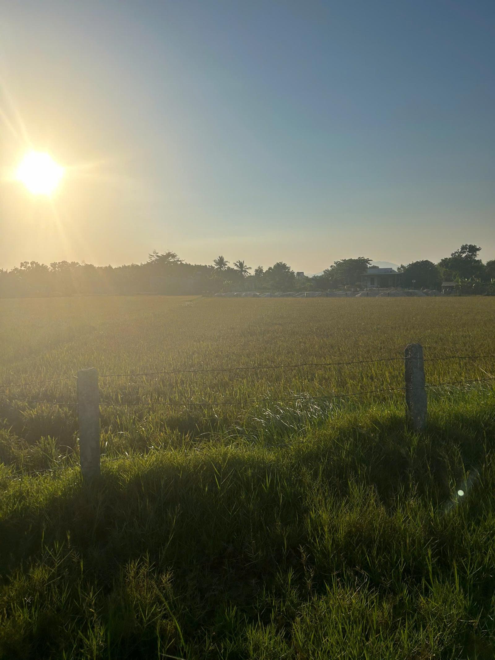 Bán 2.7 sào đất QH ODT Hẻm Tôn Đức Thắng, Tân Thiện, LaGi chỉ 1 tỷ 15985551