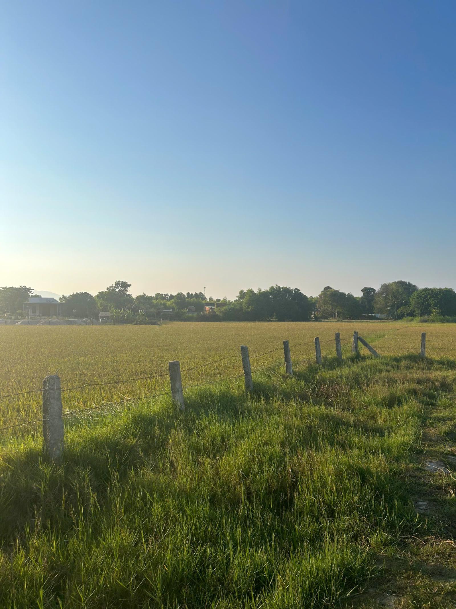 Bán 2.7 sào đất QH ODT Hẻm Tôn Đức Thắng, Tân Thiện, LaGi chỉ 1 tỷ 15985551