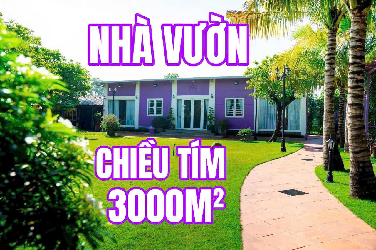 NHÀ VƯỜN MÀU TÍM – BÌNH MỸ, CỦ CHI – KHÔNG GIAN SỐNG LÝ TƯỞNG 15985583