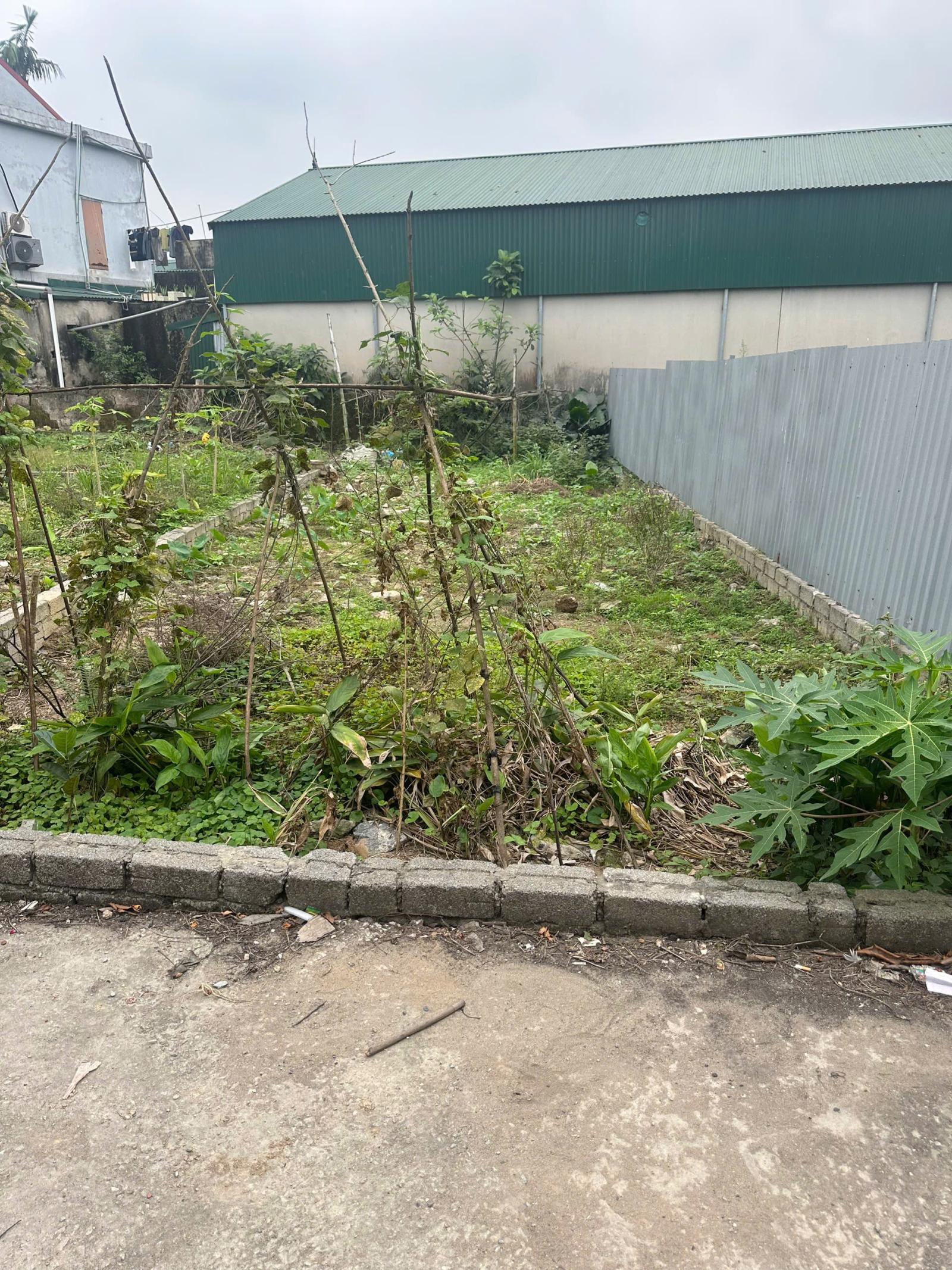 Đất Phú Xuyên đầu tư tiềm năng cực đẹp tại Phú Yên, Phú Xuyên 15985592