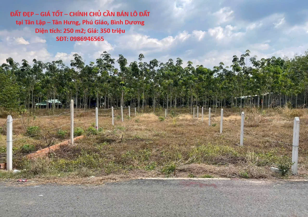 ĐẤT ĐẸP – GIÁ TỐT – CHÍNH CHỦ CẦN BÁN LÔ ĐẤT tại Tân Lập – Tân Hưng, Phú Giáo, Bình Dương 15985709