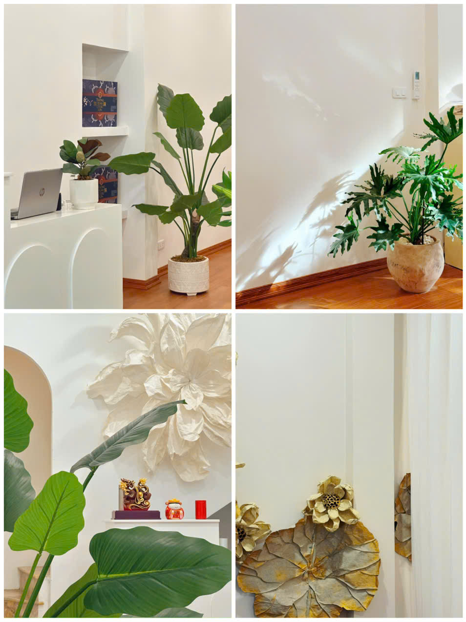 GIÁ TỐT - CHÍNH CHỦ CHUYỂN NHƯỢNG SPA LÀM ĐẸP DƯỠNG LÀNH TẠI PHƯỜNG Ô CHỢ DỪA, QUẬN ĐỐNG ĐA, HÀ NỘI 15985951